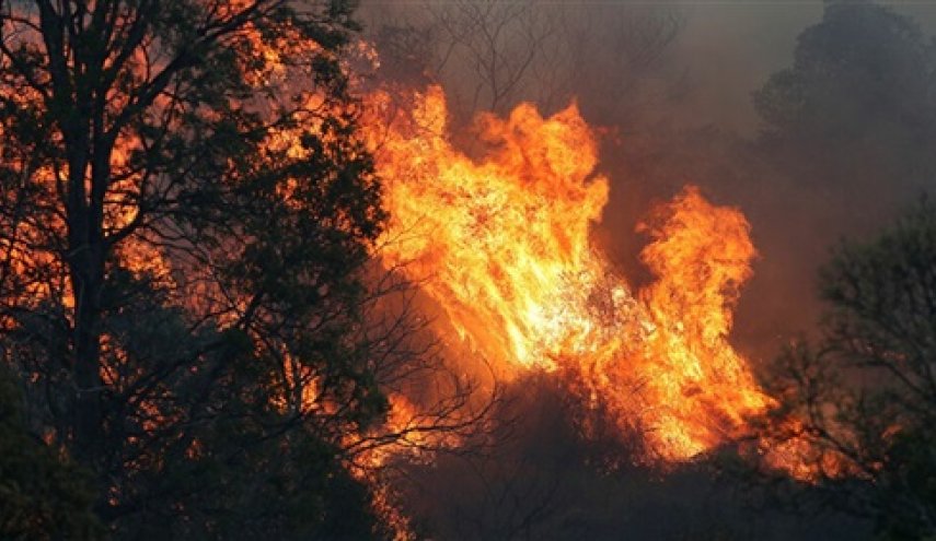 إخلاء مئات المنازل في كاليفورنيا عقب اندلاع حريق غابات هائل

