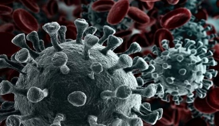 تقرير يكشف عن مفاجأة حول أول ظهور لفيروس كورونا 

