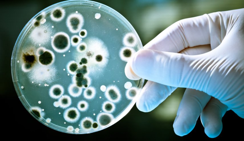بكتيريا خارقة أسوأ من فيروس كورونا ستقضي على 10 ملايين شخص سنويا