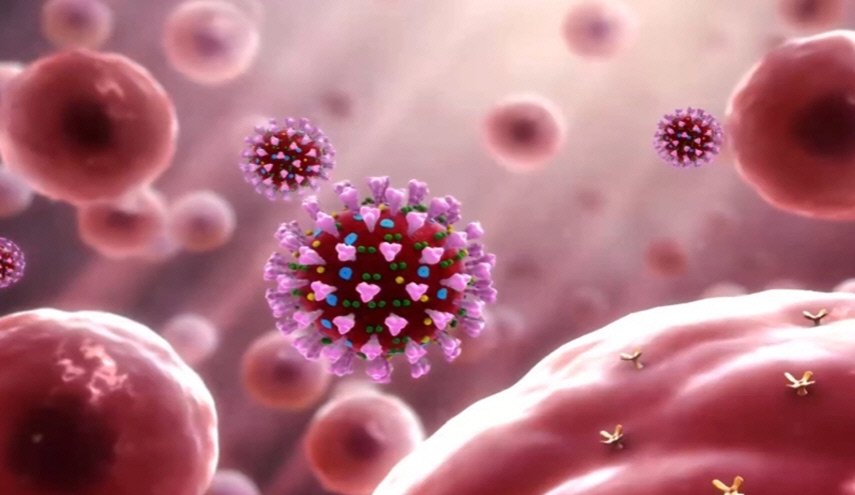 العلماء يكتشفون 'زيت' يعزز مناعة الجسم ضد كورونا 