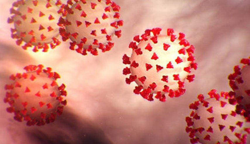 كيف يمكن لفايروس كورونا أن يجعل جهاز المناعة يهاجم أجسام المرضى؟