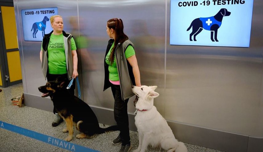 الكلاب بمطار هلسنكي تكشف وجود كورونا أسرع من الاختبار التقليدي