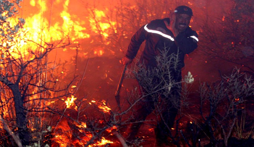 مصرع شخصين في حرائق غابات تيبازة في الجزائر