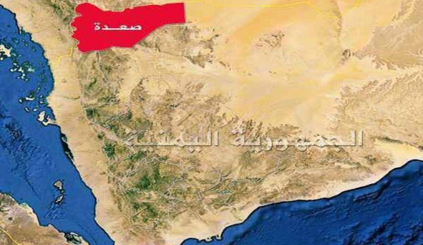اليمن: دعوات للحضور في مسيرة 