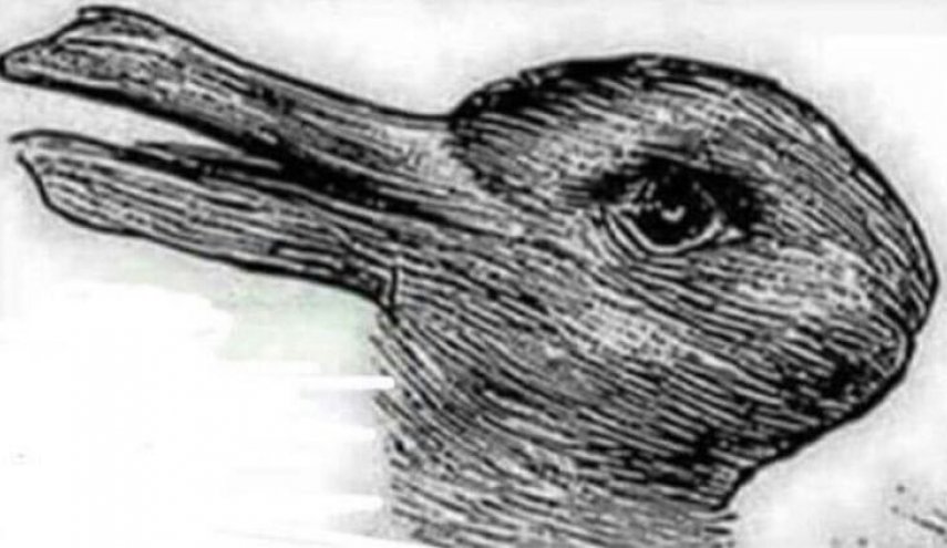 بطة أو أرنب؟ خدعة بصرية عمرها 100 عام