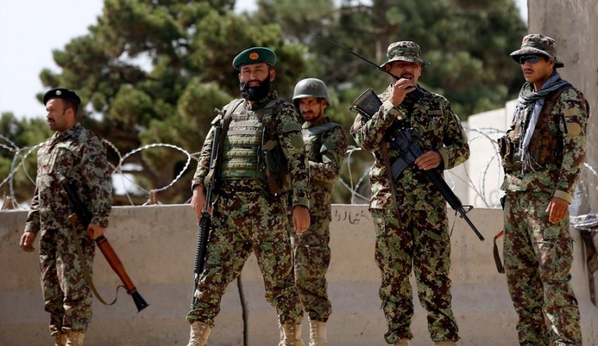 الدفاع الأفغانية تعلن مقتل 20 مسلحا من طالبان في ولاية هرات