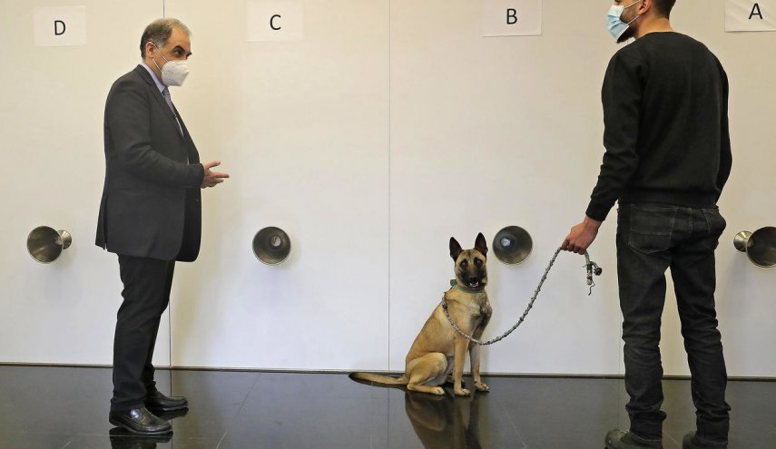 طبيب لبناني يطمح لمواجهة كورونا بواسطة كلاب مدربة