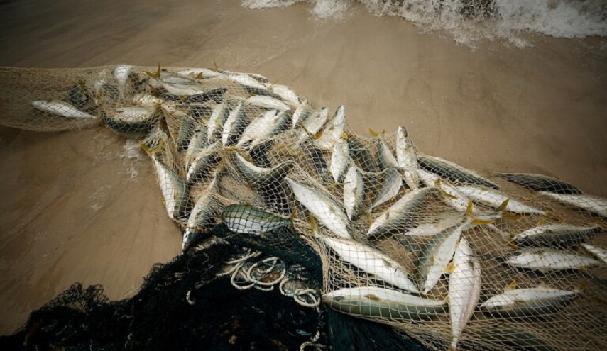باريس تطالب بتطبيق سريع لاتفاق صيد الأسماك لما بعد 'بريكست'
