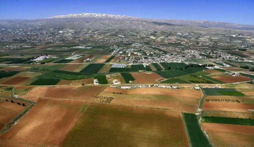 كيف علق اتحاد نقابات المزارعين في لبنان تعقيبا على قرار السعودية