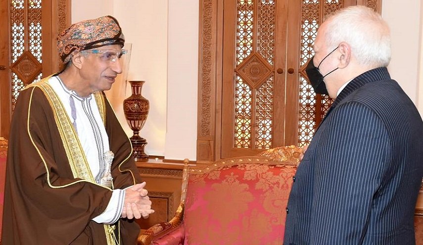 ظريف يلتقي نائب رئيس مجلس الوزراء العماني في مسقط