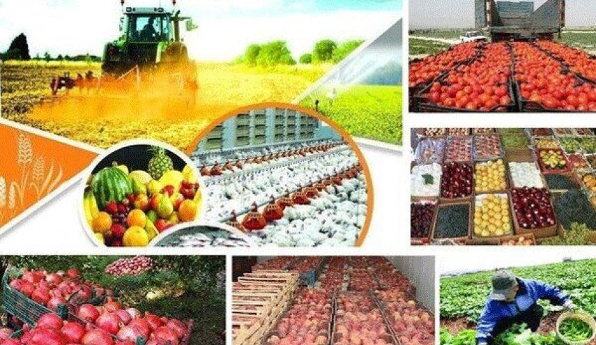 تصدير منتجات زراعية بقيمة 6 مليارات دولار العام الماضي
