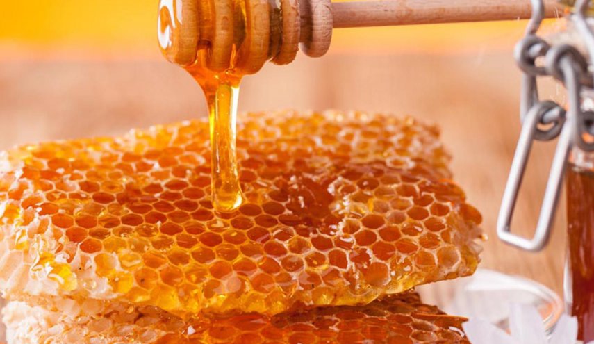 العسل يحارب البكتيريا ويقضي على الالتهاب