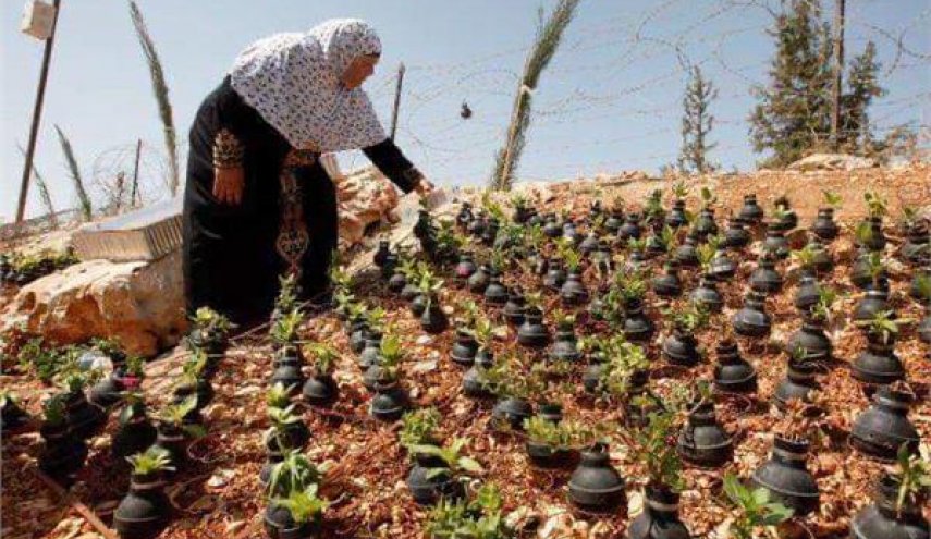 أم الشهداء تزرع في القنابل 'ورودا'