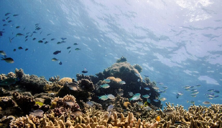 الحاجز المرجاني العظيم ينجو من قائمة المعالم الـ'مهددة بالخطر'