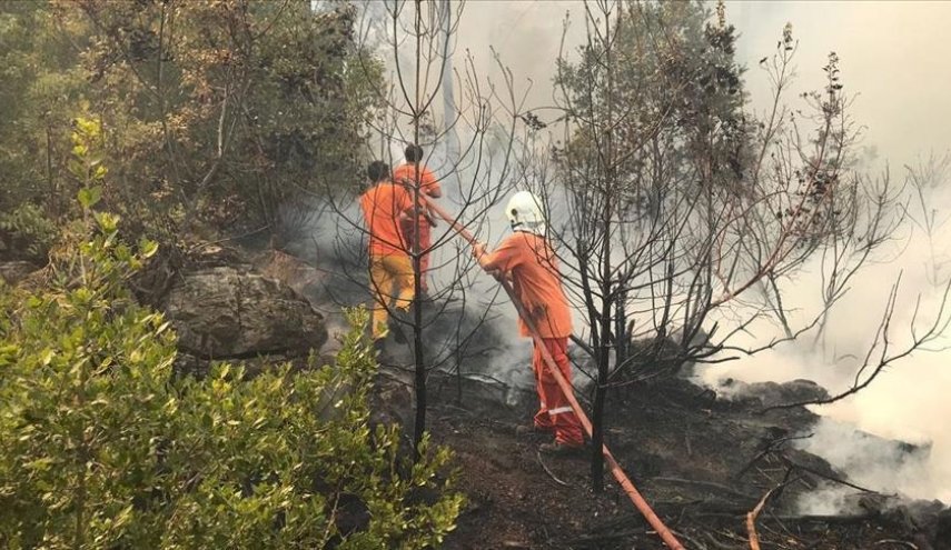 تركيا: ارتفاع عدد ضحايا حرائق الغابات
