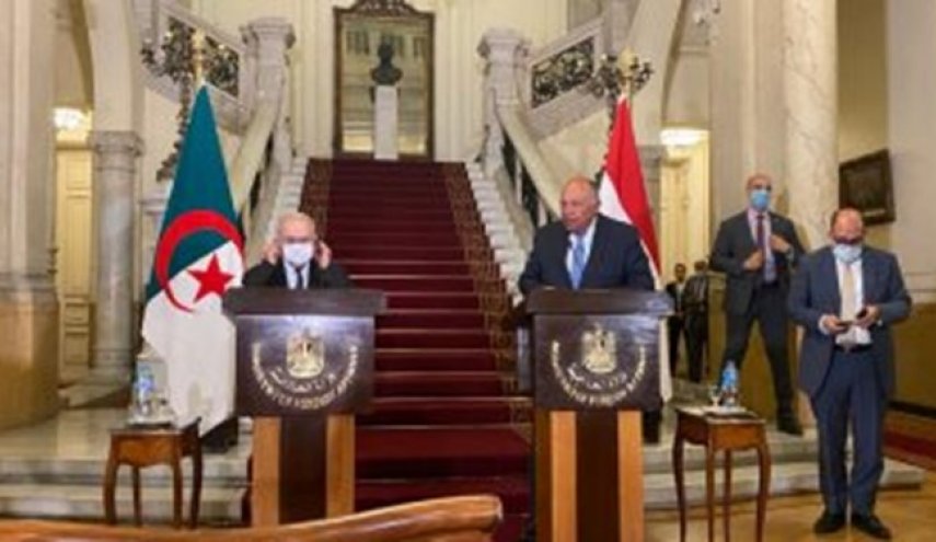 وزیر خارجه مصر: از لبنان برای خروج از بحران کنونی حمایت می‌کنیم