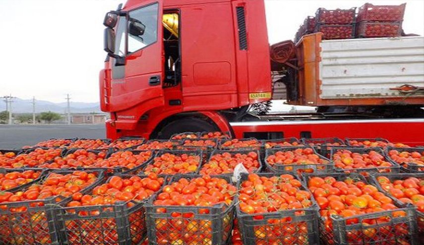 العراق يبدأ باستيراد الطماطم من ايران عبر منفذ الشلامجة