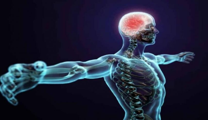 تطور متواصل في جسم الإنسان وهذا هو الدليل

