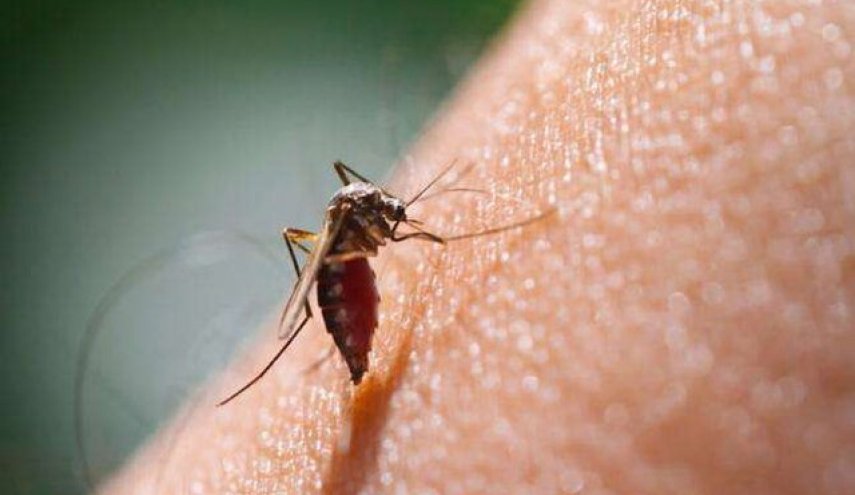 تأیید اولین واکسن مالاریا در جهان