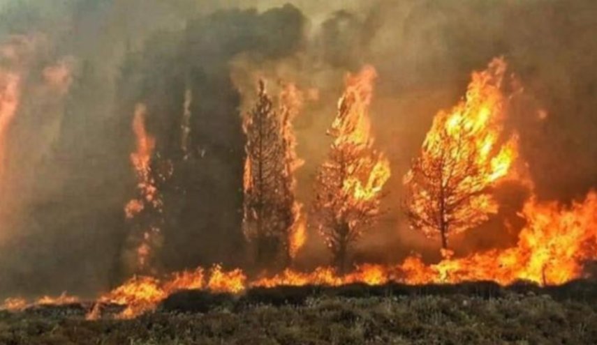 تجدد إشتعال النيران في عدد من المناطق في جنوب لبنان