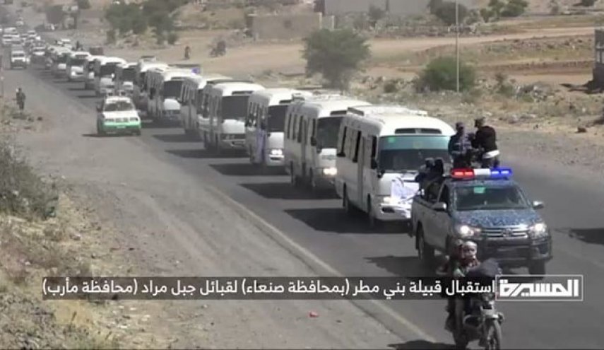 قبایل مأرب در حال پیوستن به مقاومت یمن + ویدئو
