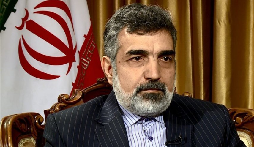 كمالوندي: إيران تهدف الى صناعة نووية سلمية