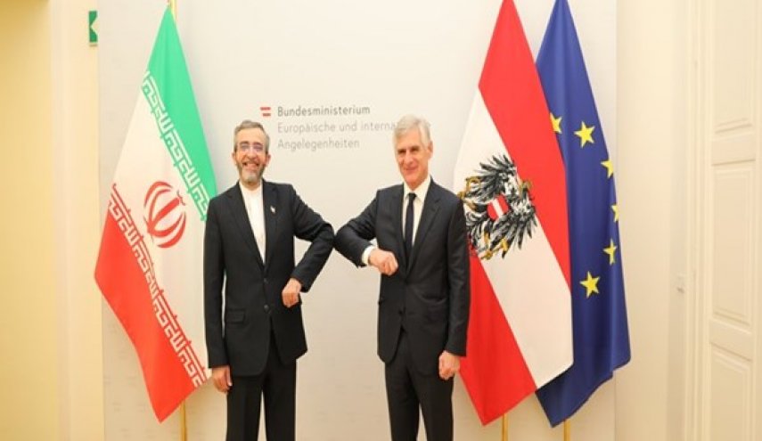 رئيس الوفد الايراني المفاوض يلتقي وزير خارجية النمسا 