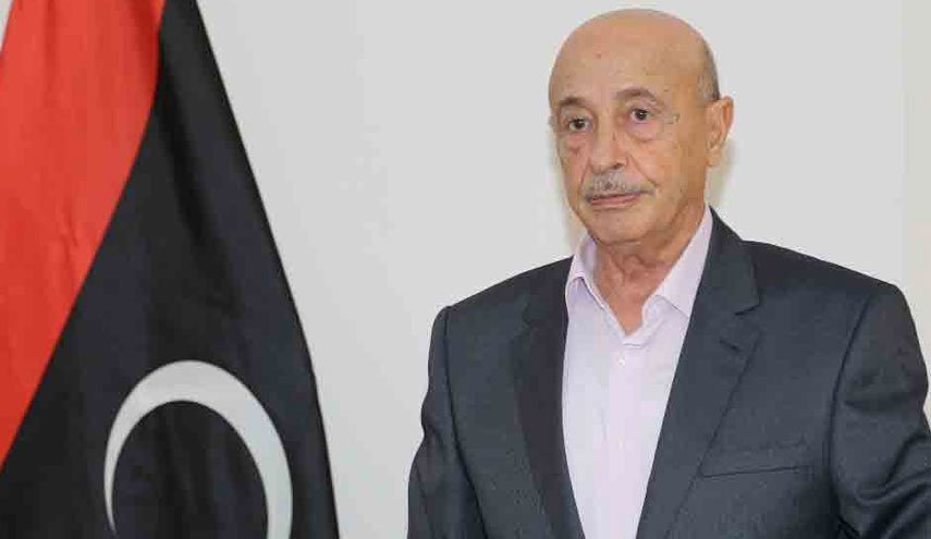 مجلس النواب الليبي يعين فتحي باشاغا رئيسا للحكومة 