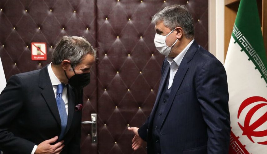 مدير الوكالة الذرية يلتقي رئيس منظمة الطاقة الذرية الايرانية