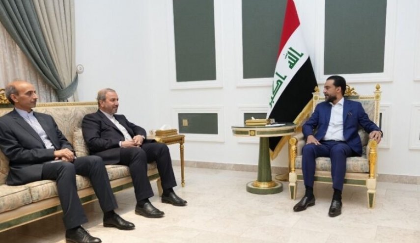 دیدار الحلبوسی با سفیر ایران در بغداد/ تاکید بر بر اهمیت فعالیت دیپلماتیک