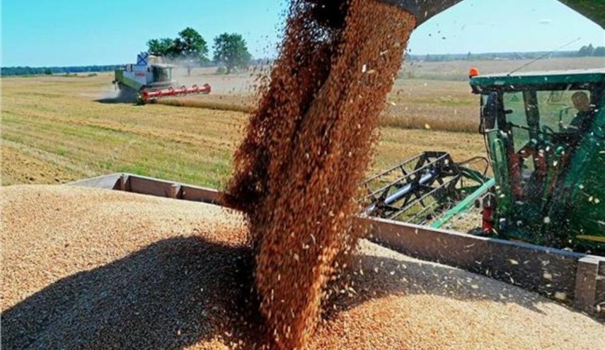 وزارة التموين المصرية تكشفت عن حجم احتياطي استراتيجي من القمح في البلاد 