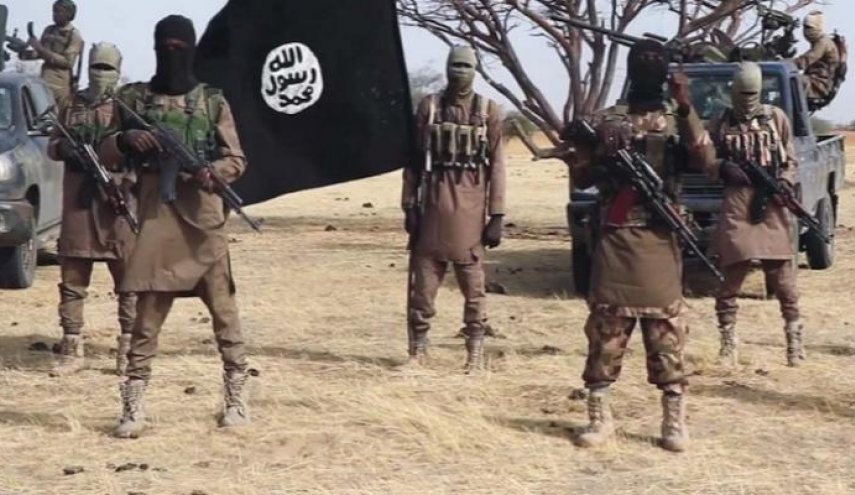 مصرع عناصر من بوكوحرام الارهابية في النيجر