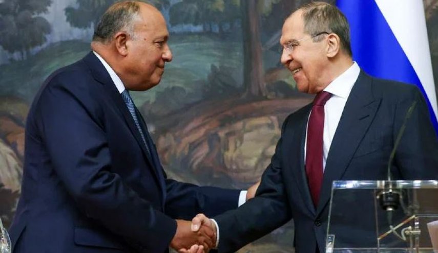 وزیر خارجه مصر: راه حل بحران اوکراین مذاکره و ابزارهای دیپلماتیک است
