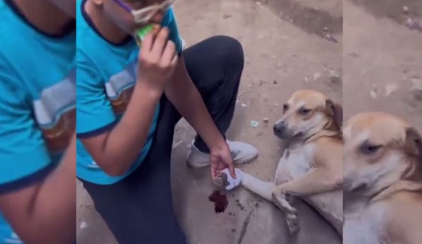 شاهد.. ماذا فعل طفل مصري مع كلب مصاب في قدمه؟