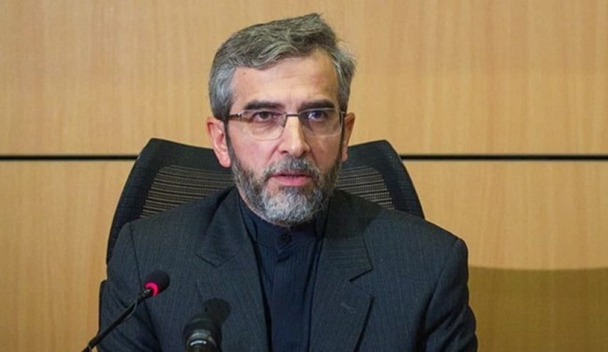 باقري: لن نتحمل انتهاك حقوق الإيرانيين في أي مكان بالعالم