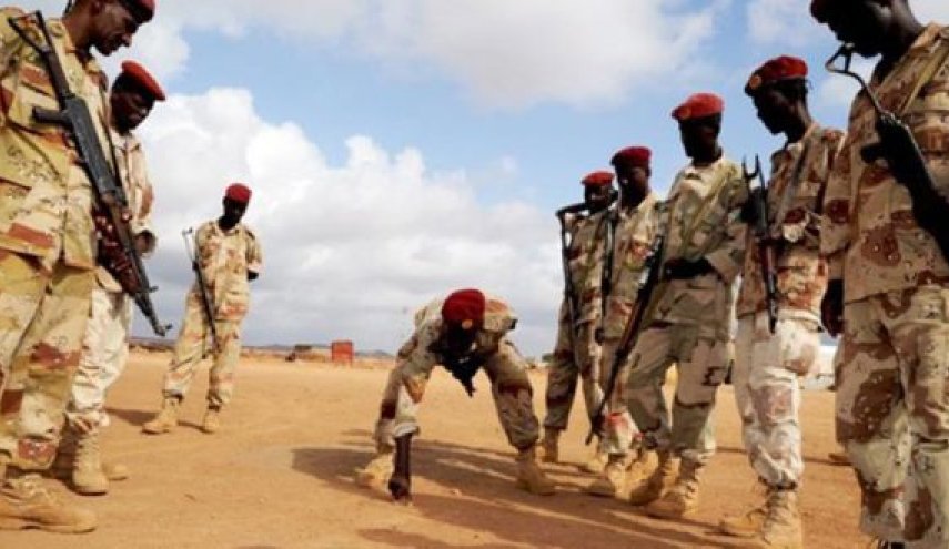 مقتل وإصابة 11 جنديا في هجوم مسلح بجيبوتي 