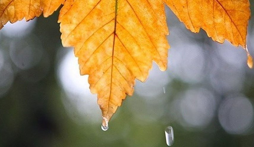 بارش‌های پاییزی در کشور ۳۵.۲ درصد کاهش یافت