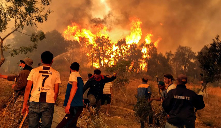 حريق في غابة جزائرية يقضي على هكتارين من المساحات الخضراء