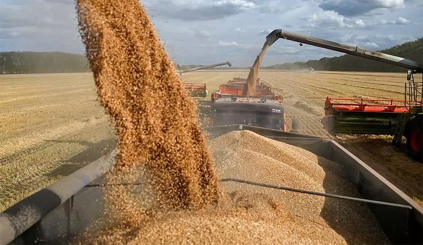 الامم المتحدة تدعو الى تسريع صادرات الحبوب من الموانئ الاوكرانية