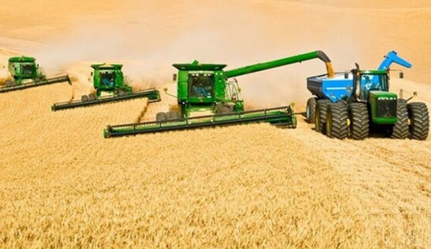 انتاج الحبوب في ايران يزداد بنسبة 22 بالمائة