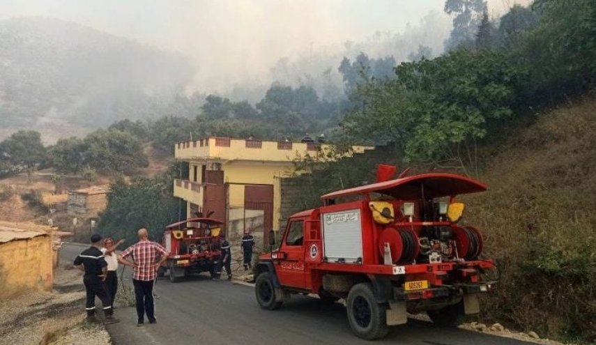 وفاة 15 شخصا وإصابة 26 آخرين جراء حرائق الغابات في الجزائر