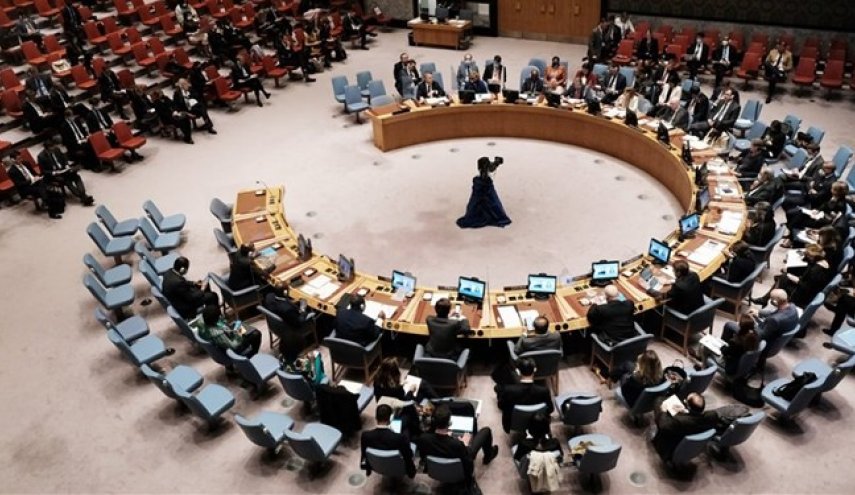 شورای امنیت سازمان ملل، کودتا در نیجر را محکوم کرد
