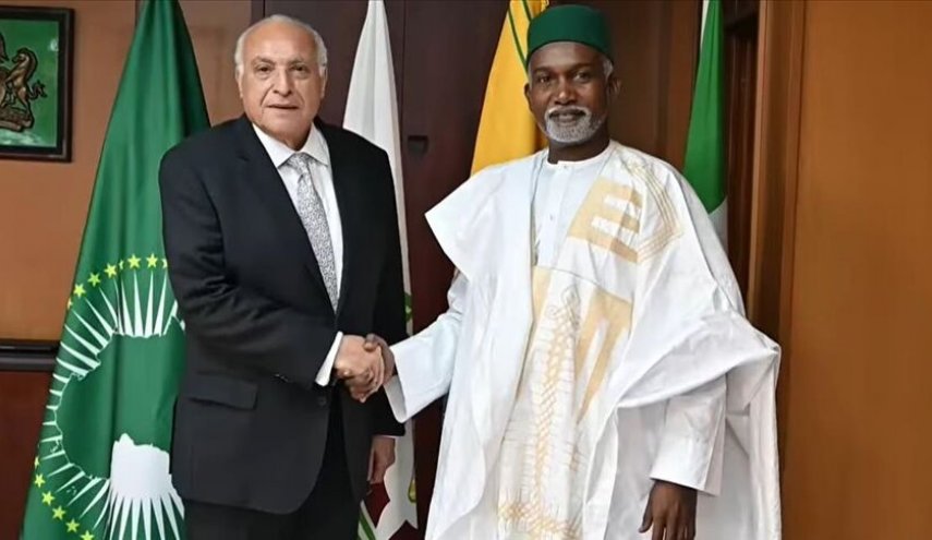 وزیران خارجه الجزایر و نیجریه درباره کودتا در نیجر گفت وگو کردند
