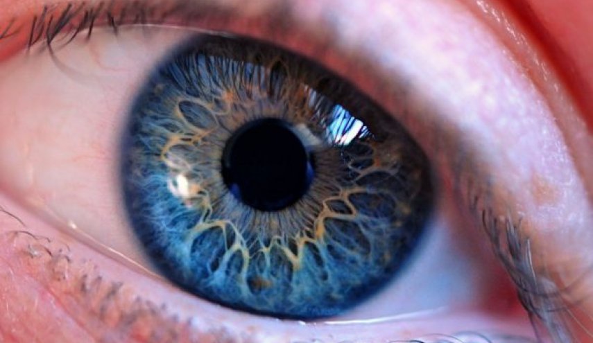 كيف يحمي الميلانين العين من السموم 