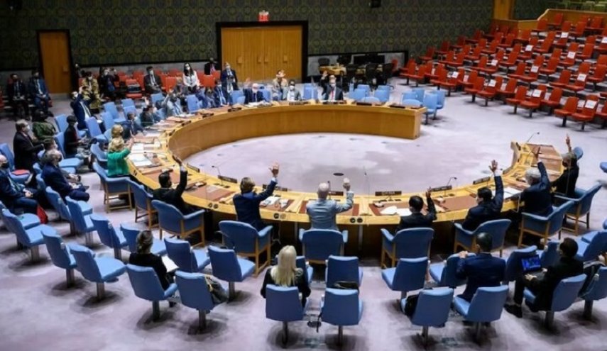 حماس تعلق على قرار مجلس الأمن بشأن غزة

