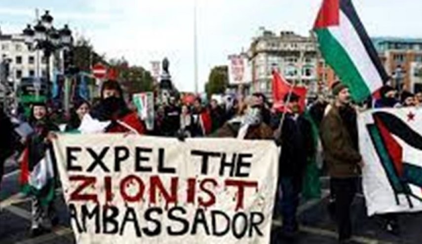 ایرلند از شکایت آفریقای جنوبی از رژیم صهیونیستی حمایت کرد
