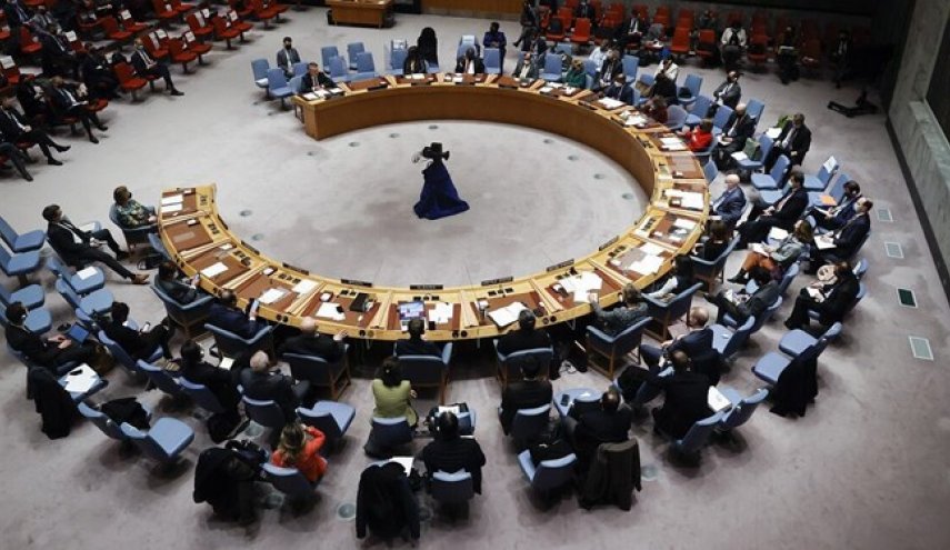 عراق و سوریه در شورای امنیت حملات آمریکا را محکوم کردند
