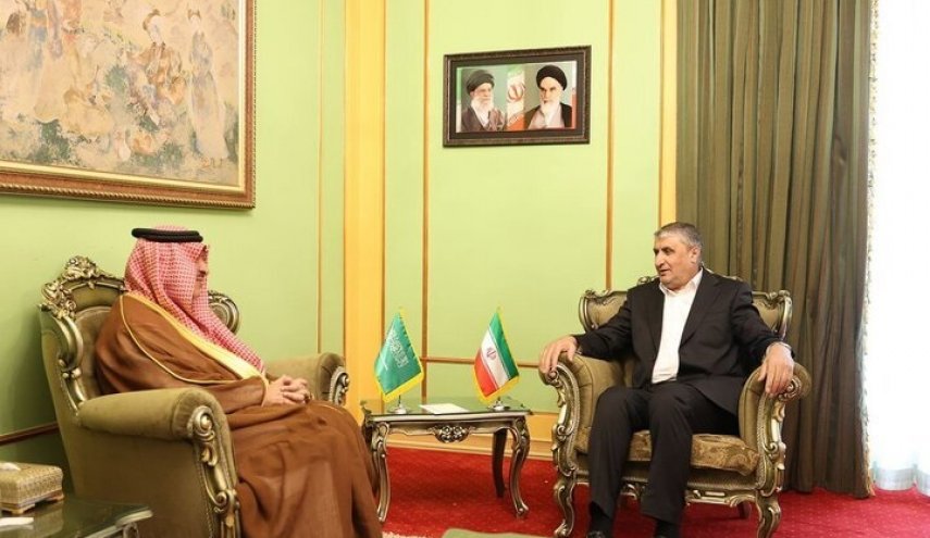 إسلامي: على إيران والسعودية بذل الجهود لتطوير التعامل في إطار المصالح الوطنية