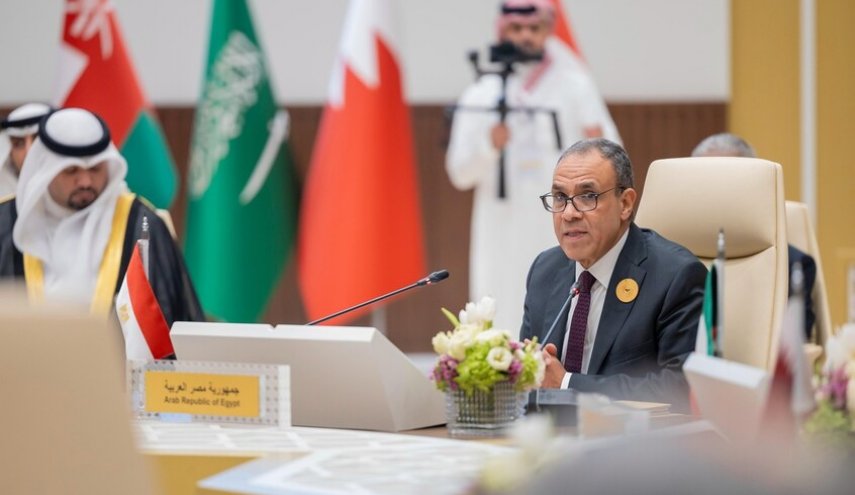 مصر: فلسطين قضية العرب المركزية 