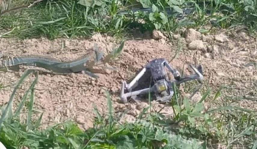 إسقاط طائرة استطلاع إسرائيلية في جنوب سوريا